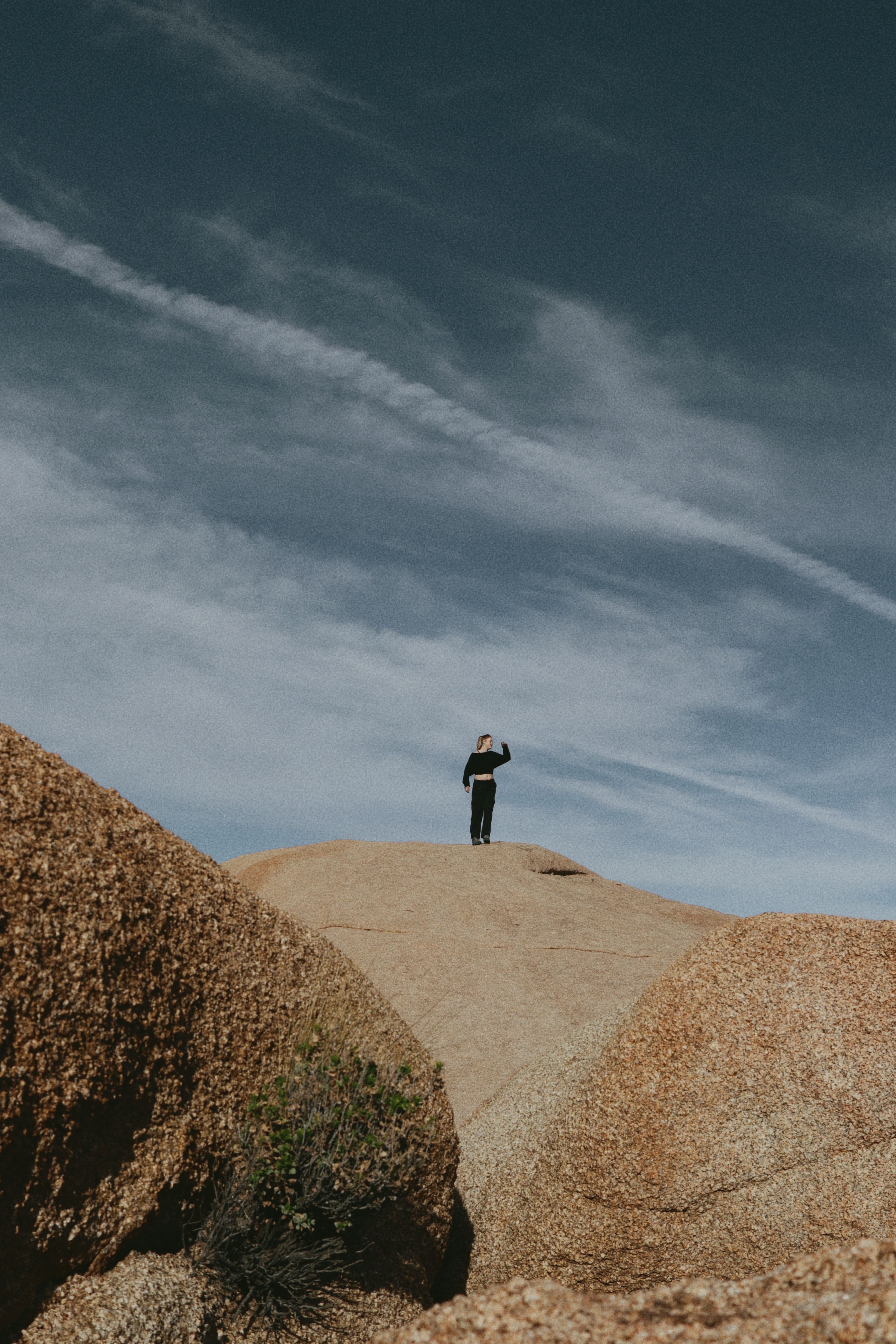Joshua Tree Shoot